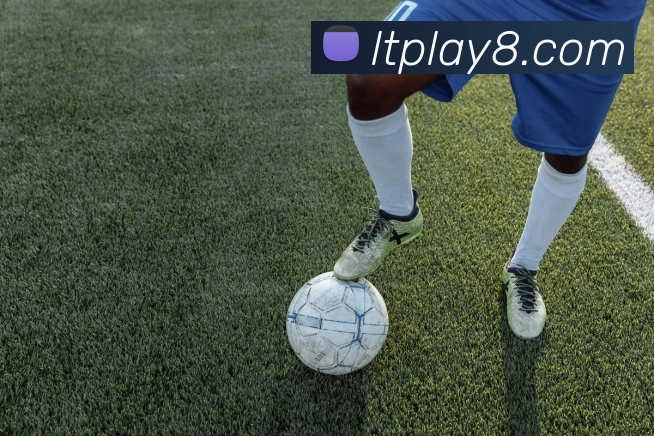 蓝图娱乐官网平台生态图