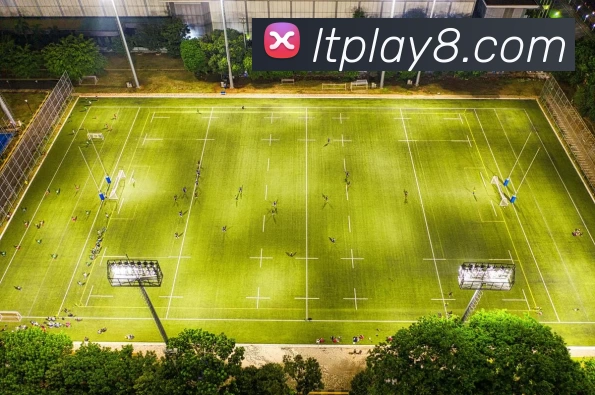 数据防护可视化